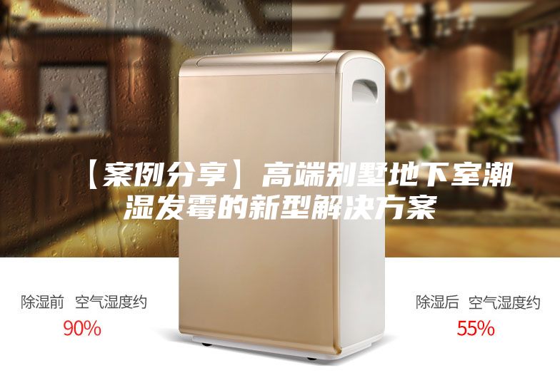 【案例分享】高端别墅地下室潮湿发霉的新型解决方案